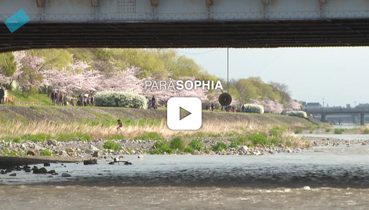 Sound installation at the Kamo River Delta 