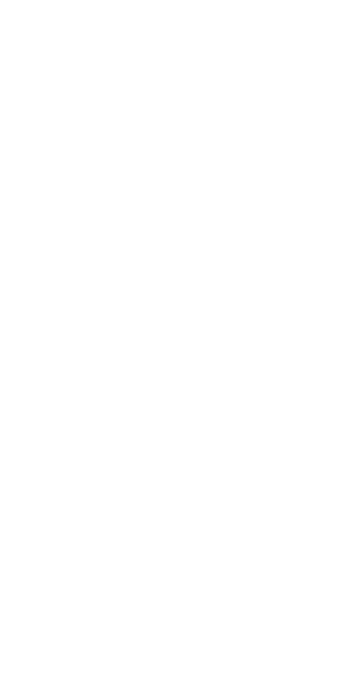 (日本語) 重要的不在飞起来